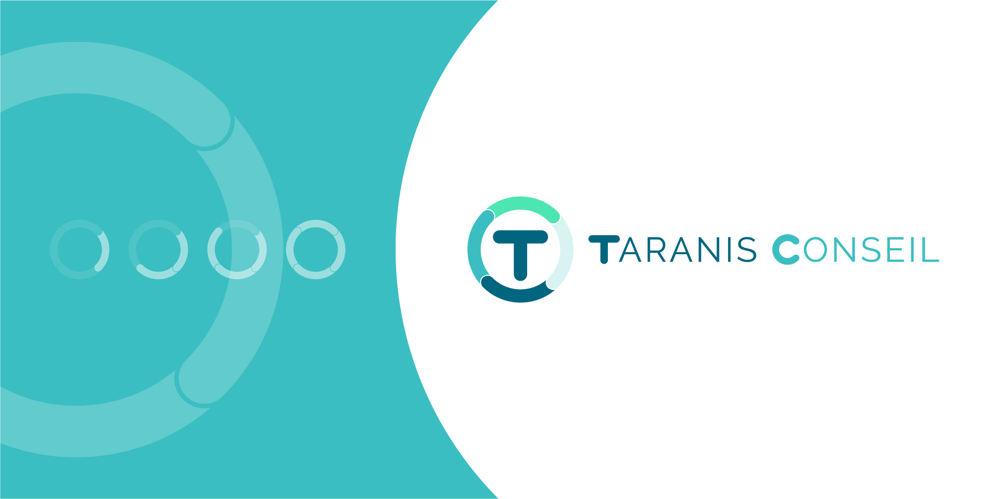 logo-taranis-conseil logo taranis conseil